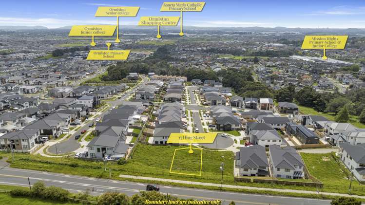 37 Hing Street Flat Bush_3