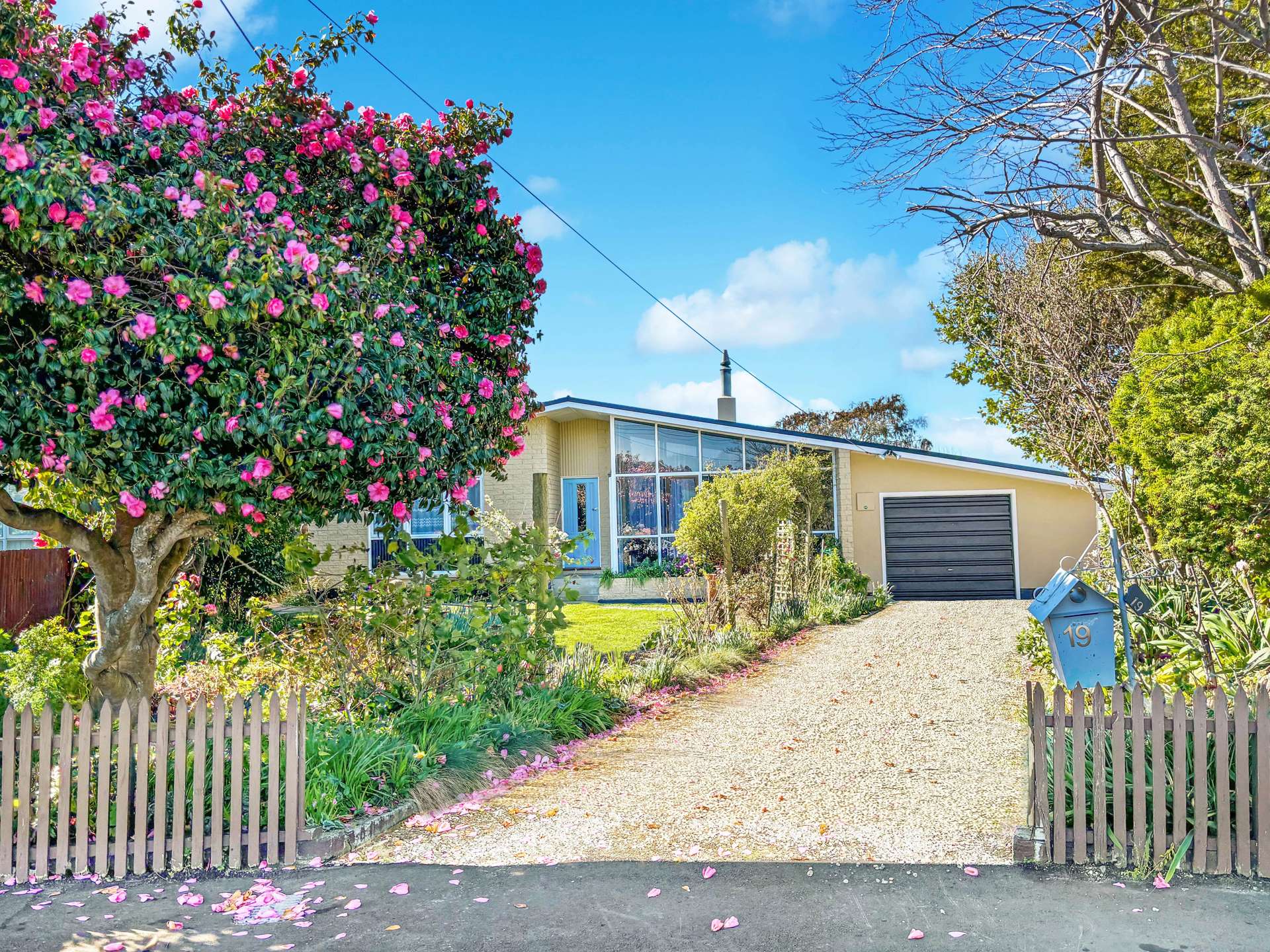 19 Meon Street Oamaru North_0