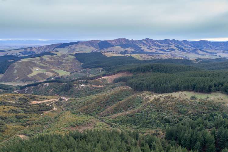 569 Mcqueens Valley Road Gebbies Valley_7