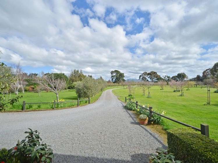 131 Dublin Street Martinborough_2