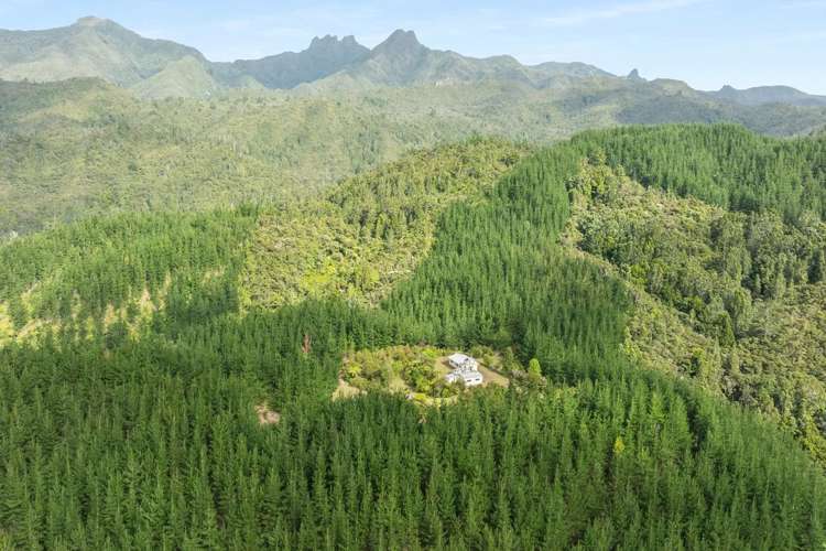 112 Hikuai School Road, Hikuai Tairua_5