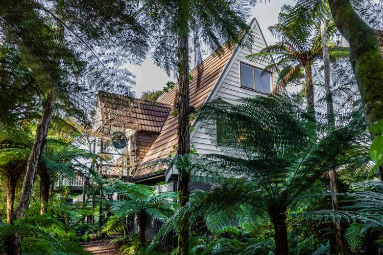 31 Huriwaka Street Kuratau_15