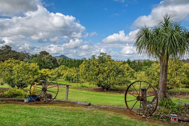 131 Tatton Road Maungatapere_1