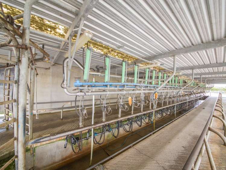 788 Tangimoana Road Ohakea_4