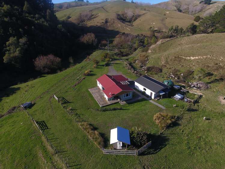 579 Jacksons Line Mauriceville_18