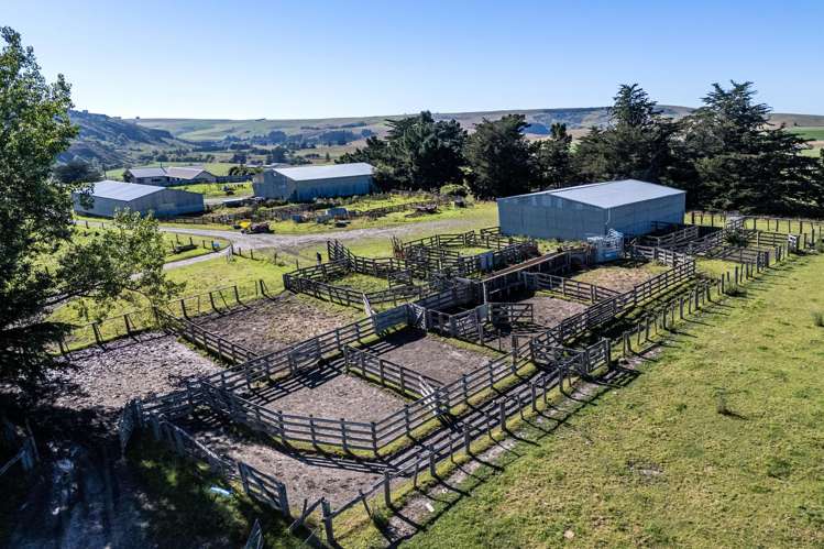 61 Howells Road Maungati_23