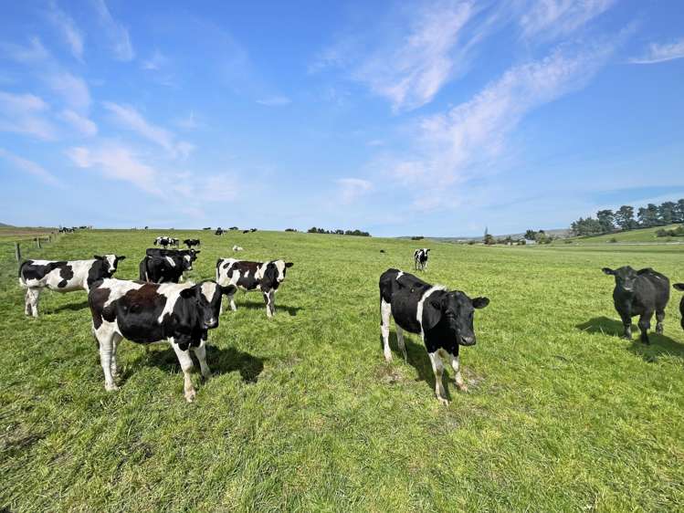 51 Saint Bathans Loop Road Becks_13