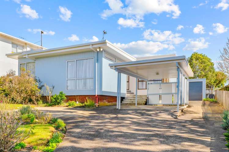 53 Halsey Drive Lynfield_4