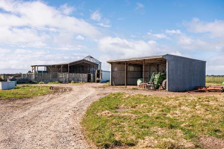 439 Dawsons Road Ashburton_14