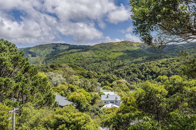 19 Norwich Street Wadestown_13