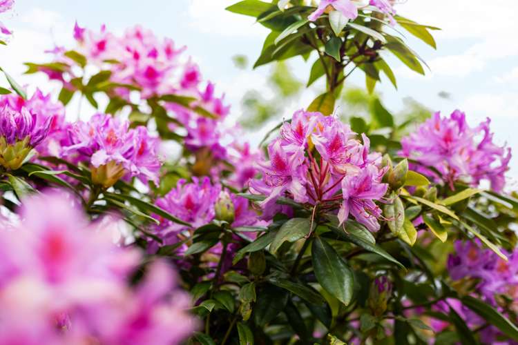 13 Zande Terrace Tawa_14