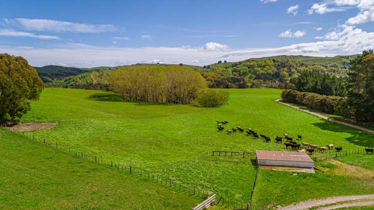 792 Clifton Grove Road Gladstone_12