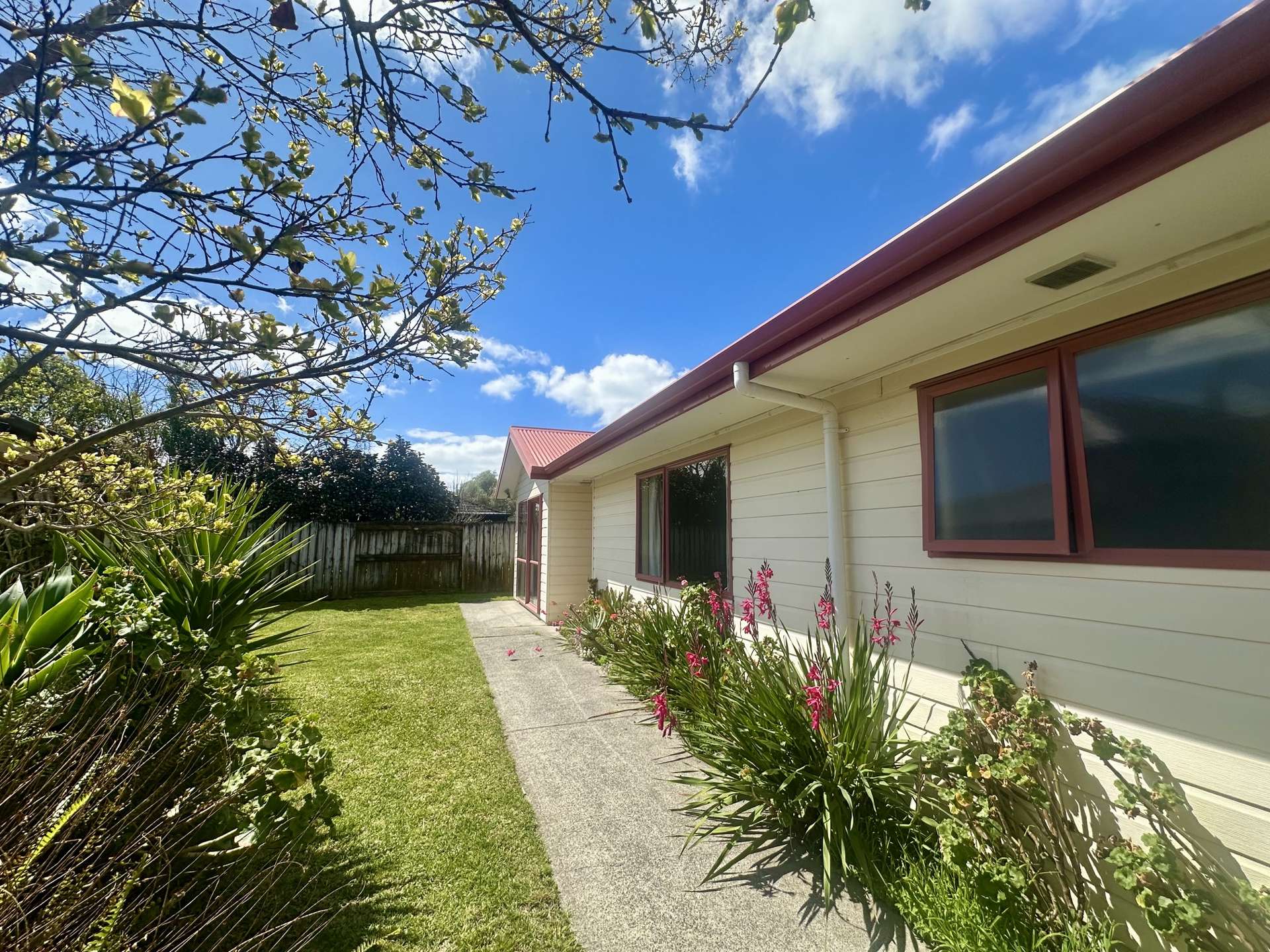 9b Lamia Grove Papamoa_0