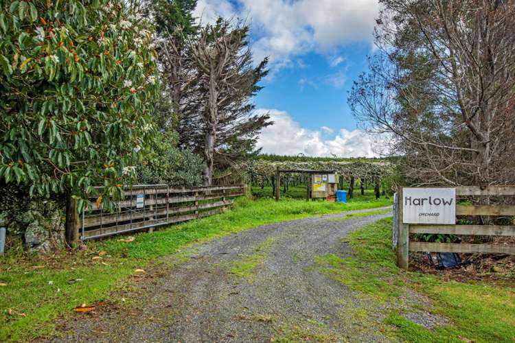 48 Austin Road Maunu_17