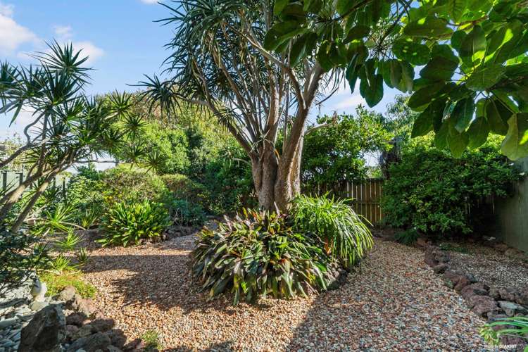 76b Calliope Road Stanley Point_11