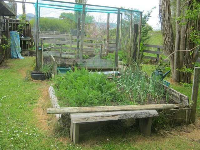 24 Shoalhaven Street Paeroa_3