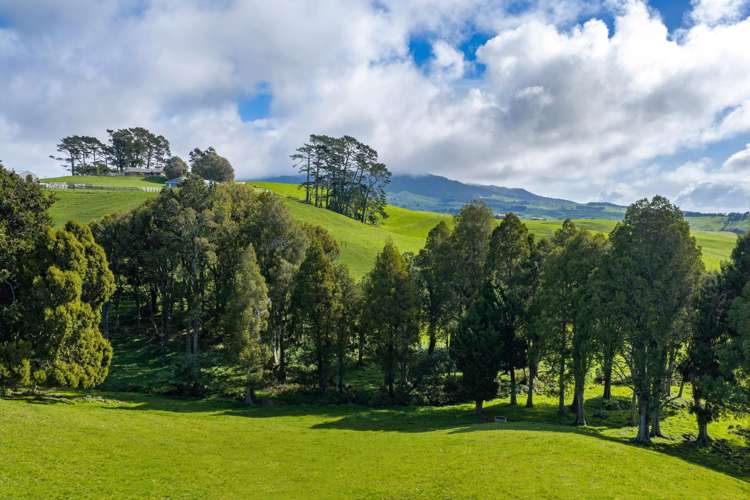 554 Maungatawhiri Road (bare block) Raglan_5