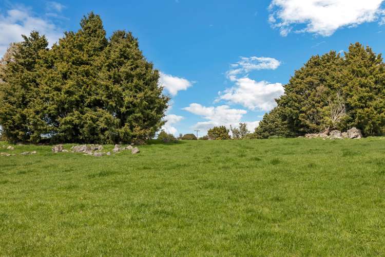 1027 State Highway 14 Maungatapere_7