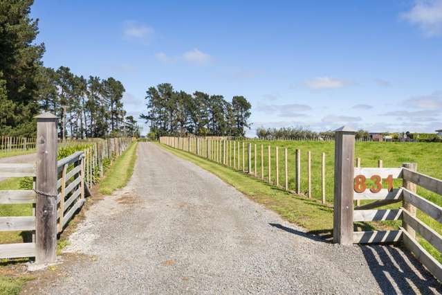 831 Halcombe Road Feilding_4