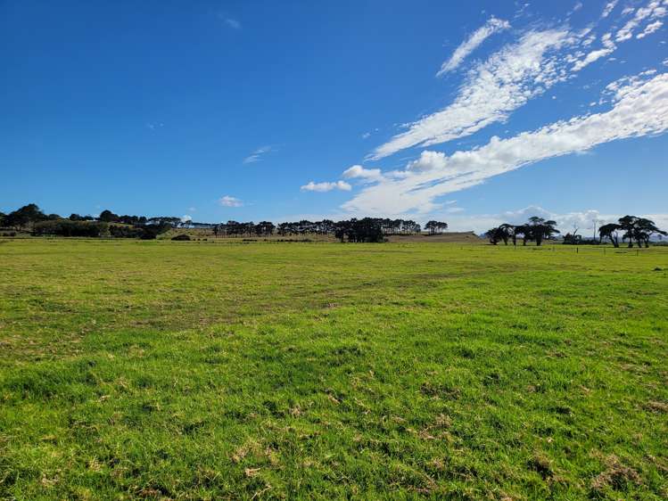 1919 Pouto Road Te Kopuru_21