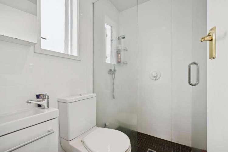 41 Sandringham Street Saint Clair_13