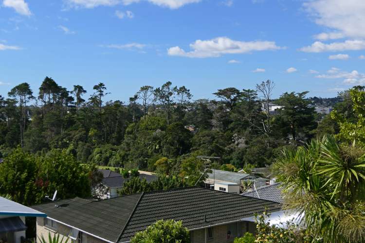 29 Eyre Street Henderson_21