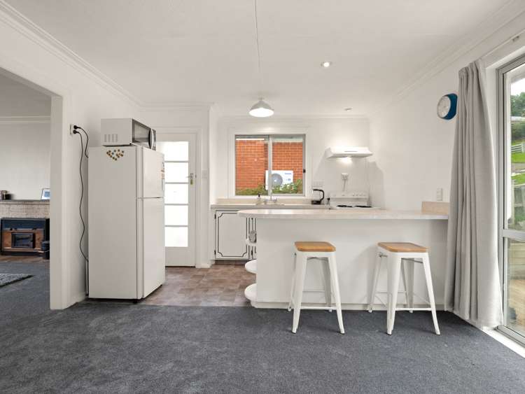 446 Pine Hill Road Pine Hill_5