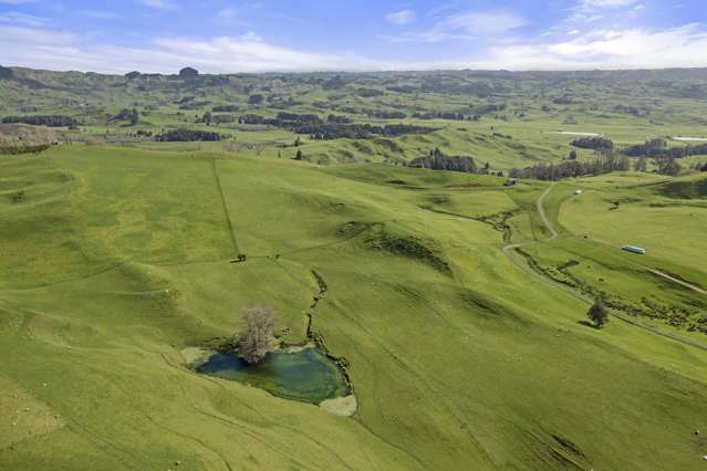 Mangatea Road Te Kuiti_3