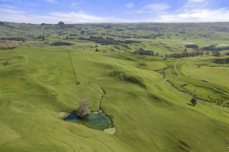 Mangatea Road Te Kuiti_3