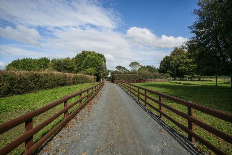 195 Hautapu Road Pukemoremore_24