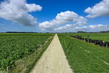 77 Arowhenua Station Road_4