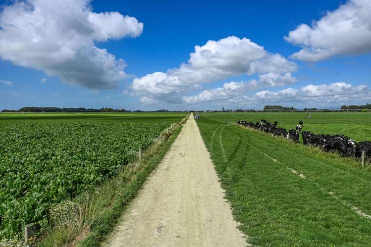 77 Arowhenua Station Road Timaru_4