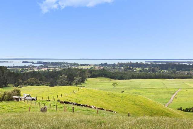 Elevated Section – Harbour & Kaimai Views