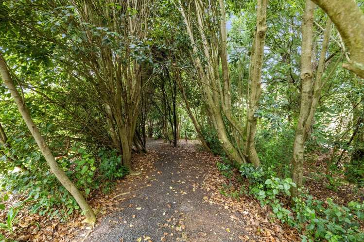 774 Mangawara Road Morrinsville_14