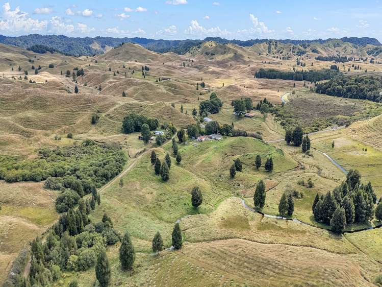 712 Mangapapa Road Tangarakau Stratford_25