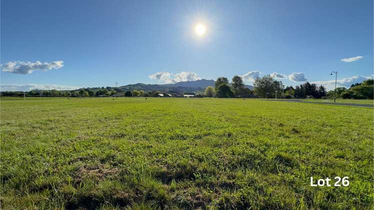 Collinson Street Pirongia_18