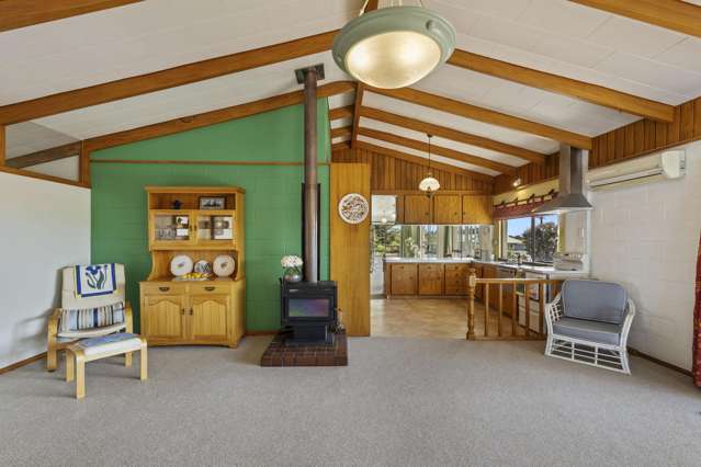 217 Smart Road Hillsborough_4