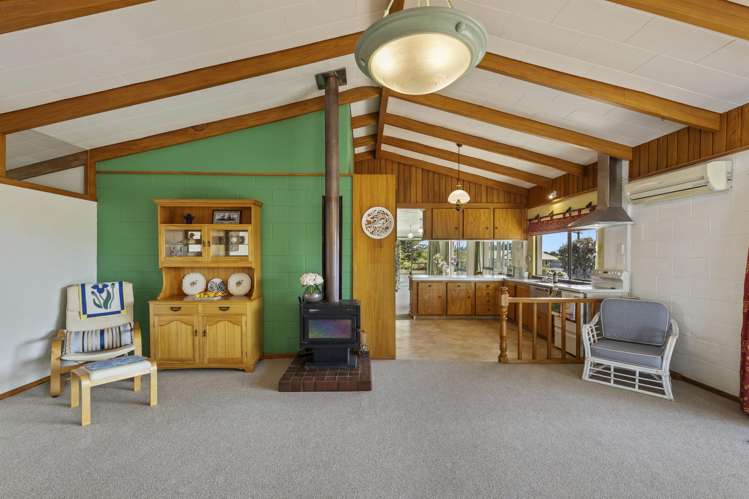 217 Smart Road Hillsborough_4