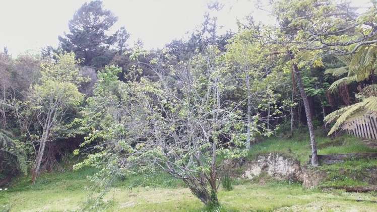 37 Kairimu Street Stokes Valley_21
