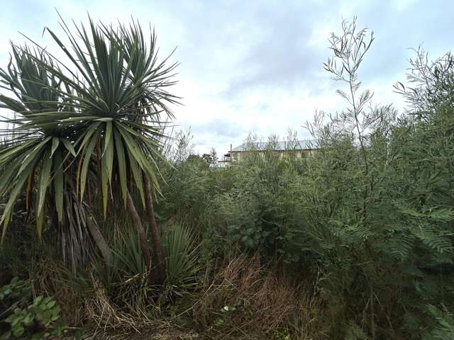 32 Hart Street Blackball_4