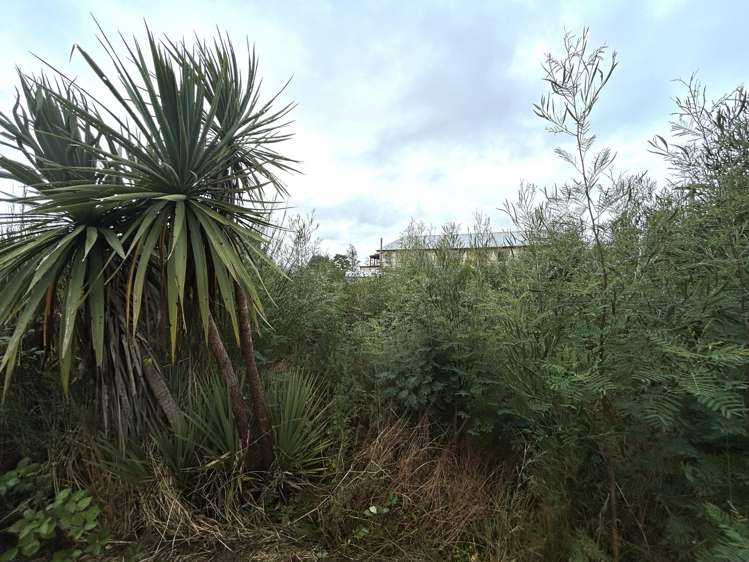 32 Hart Street Blackball_4