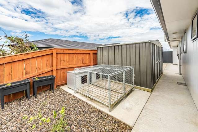 11 Morrell Street Tawhero_2