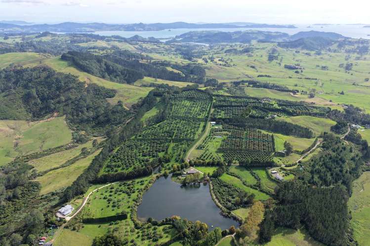 121C Purangi Road Whenuakite_9