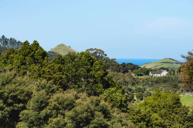 Lots 1-3 Kapawiti Road Mangawhai Heads_13