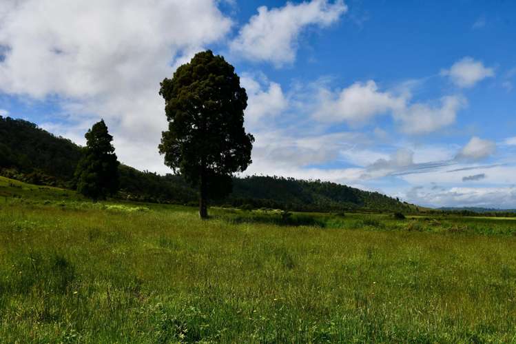 366 Oparara Loop Road Karamea_10