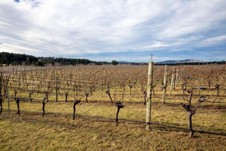 590 Georges Road Waipara_6