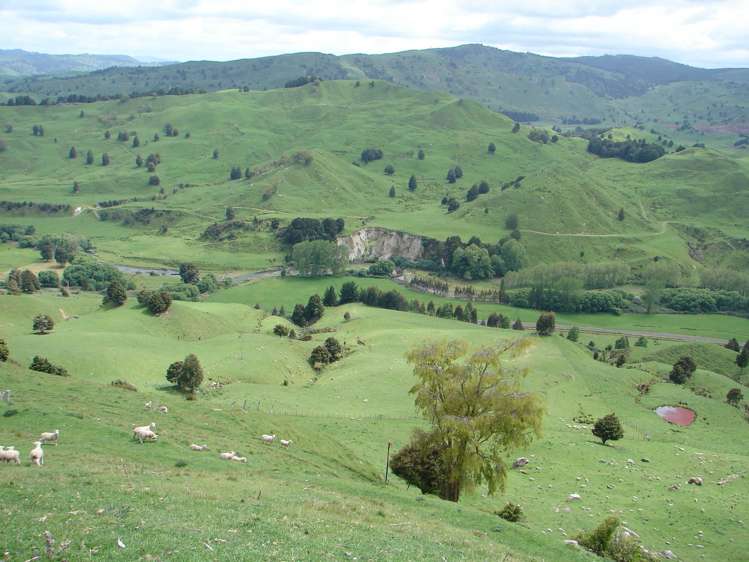 1742 Taringamotu Road Taringamotu_10