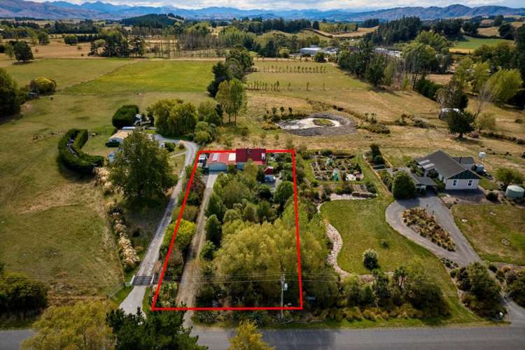 30 Mina Road Cheviot_32