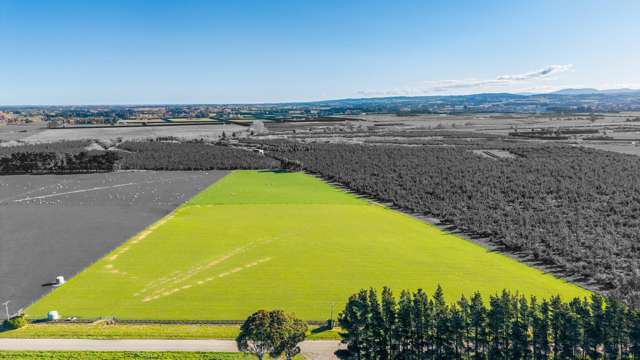 156 Webbs Road Amberley_2