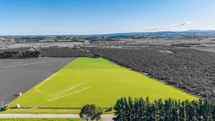 156 Webbs Road Amberley_2